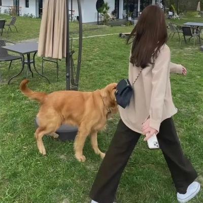 婚礼季第一季